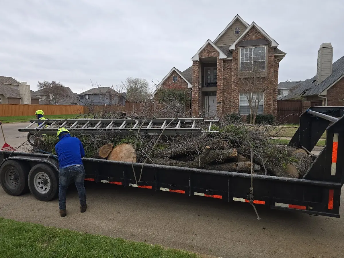 Expert Tree Pest Control with proper safety equipment in Ouzinkie